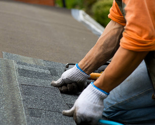 Best Roof Restoration Services  in George Mason, VA